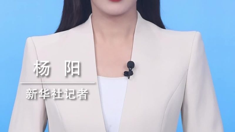 Neural Tensor Networks：揭秘知识表示的革新力量